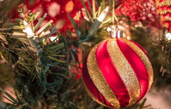 Alternativen zum Weihnachtsbaum - wir haben die Lösung