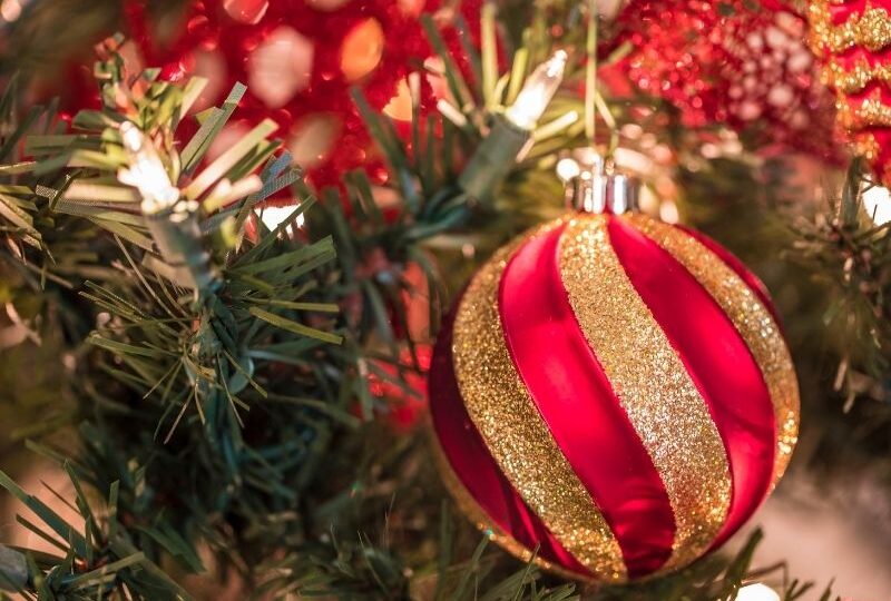 Alternativen zum Weihnachtsbaum - wir haben die Lösung